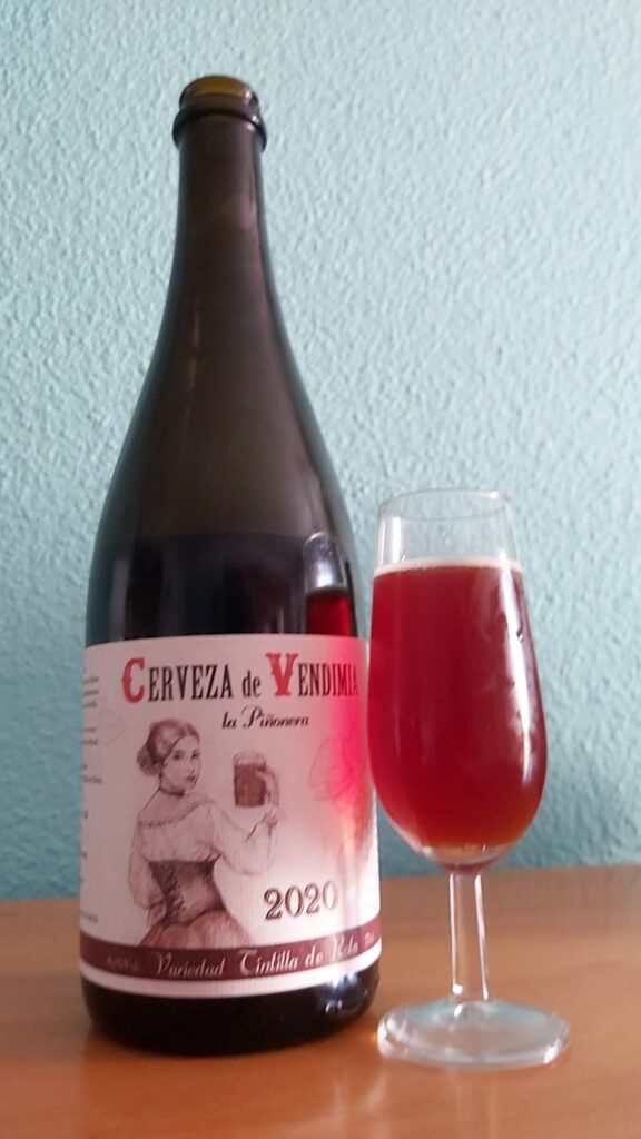Cervezas la piñonera - Vendimia con mosto de uva Tintilla - 12 meses 12 cerveceras